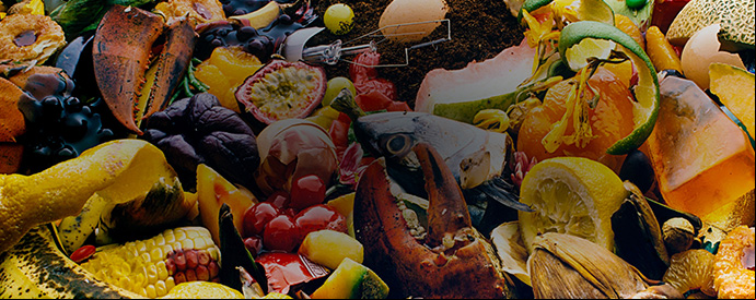 How to use food waste for good